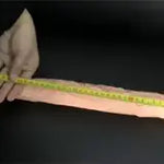 DILDO GIGANTE Y REALIZSTA 35CM
