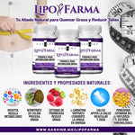 SASHINE LIPOFARMA