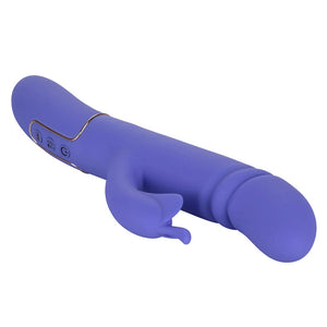 SHAMELESS SEDUCER PURPLE