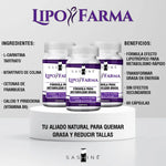 SASHINE LIPOFARMA
